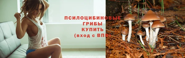 марки lsd Беломорск